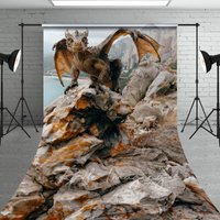 Aperturee Coast Rocks Welsh Dragon Natural Scene Sweep Backdrop, 5 x 7 ft (1.5 x 2.1 m), 42 USD, sweep backdrops, LRSD1K89-D