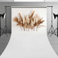 Aperturee Minimalist Boho Sweep Photography Backdrop with Floor, Dried Palm Leaves and Pampas Grass, Modern Neutral Studio Prop, 5x7ft (WxH)