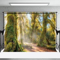 Aperturee Green Tree Forest Warm Sunshine Photography Backdrop, 3X2FT(1MX0.6M), 14 USD, forest backdrops, NYHD12807980-M
