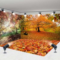 Aperturee Sunlight Maple Forest Autumn Photo Room Set Backdrop, 7 x 7 ft / 10 x 7 ft / 10 x 7 ft, 247.5 USD, room set backdrops