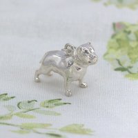 Pitbull Silver Charm