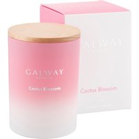 Galway Living Cactus Blossom Candle