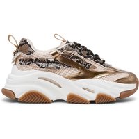 STEVE MADDEN - Sneakers Donna Bronzo