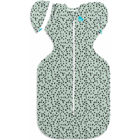 Love to Dream Swaddle UP Transition Bag 1.0 Tog