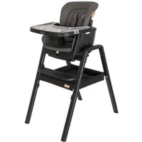 Nova Evolutionary Highchair