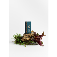 Libido Essential Oil Blend for Men 10ml