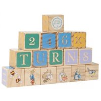 Rainbow Designs Peter Rabbit Wooden Picture Blocks