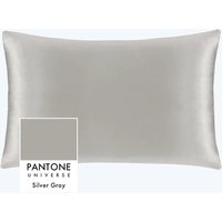 Silk Pillowcases 6A Mulberry Silk 100% 22 Momme 6A Grade Mulberry Silk Hypoallergenic Soft Silver Gray-preorder Queen(20"x30")