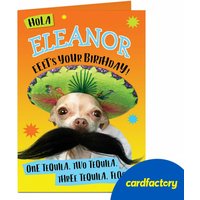Personalised Chihuahua Birthday Card - Hola Tequila Design | Custom Name | Hilarious Greeting | Quality Paper | Available in 2 Sizes | Fun Gift
