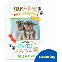 Personalised Photo Birthday Card - From The Dogs | Cute & Colourful Design | Quality Paper Board | Available in 2 Sizes | Ideal Gift