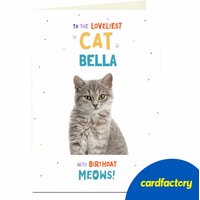 Photo Pet Birthday Card - To The Loveliest Cat | UV Gloss Finish | FSC Certified | Available in 2 Sizes | Quality Paperboard | Ideal Gift Card