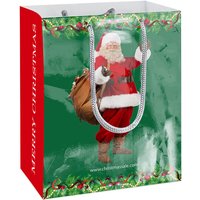 Printed Gloss Paper Bags