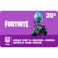 Fortnite Karte 25€