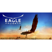 Eagle Flight