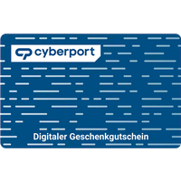 Cyberport-Karte 100 €