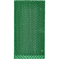 PAE 11 / 11 B / 12 Evaporation Filter