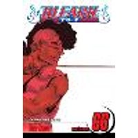 Cover of Bleach, Vol. 66 Volume 66