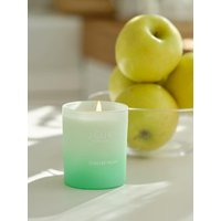 Nordic Vegan Candle 150g (Fruit Scent / Scented 8)