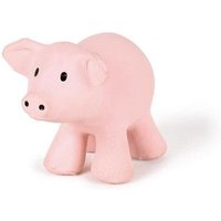 Tikiri Varken bad/bijtspeeltje met rammelaar