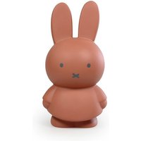 Atelier Pierre Nijntje spaarpot terra