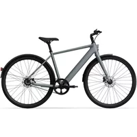 TENWAYS CGO600 PRO Elektrische Herenfiets L (1.80m - 1.95m)