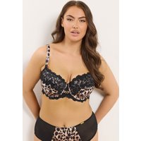 Yours Yours Fuller Bust Lingerie Wattierter BH in Schwarz mit Leoprint und Spitze in Größe 100E | Polyester/Elasthan/Polyamid