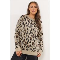 Yours Yours Damen Pullover in Naturbraun aus Soft Touchgewebe mit Leoprint in Größe 50-52 | Acryl