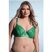 Playful Promises Playful Promises Fuller Bust Lingerie Yours – Bestickter Bügel-BH in Grün mit Spitze in Größe 105J | Polyester/Elasthan