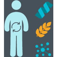 Human Nutrition - Understanding Macronutrient Metabolism