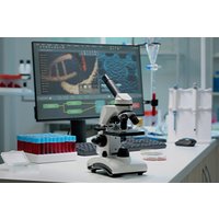 Introduction to Biomedical Science