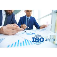 ISO 45001 Internal Auditing Strategies & Practices