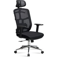 FineBuy Bürostuhl Schwarz Mesh-Bezug Schreibtischstuhl bis 120 kg mit Kopfstütze, Drehstuhl höhenverstellbar mit Lendenwirbelstütze, Stoff-Schreibtischsessel ergonomisch mit Wippfunktion | Farbe: Schwarz FineBuy Bürostuhl Schwarz Mesh-Bezug Schreibtischstuhl bis 120 kg mit Kopfstütze, Drehstuhl höhenverstellbar mit Lendenwirbelstütze, Stoff-Schreibtischsessel ergonomisch mit Wippfunktion | Farbe: Schwarz