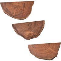 FineBuy Wandregal 3er Set Akazie Vollholz Hängeregal Baumscheibe, Natur Pflanzentreppe für die Wand, Schweberegal Hängend mit Baumkante, Blumentreppe Baumstamm Modern | Farbe: Braun FineBuy Wandregal 3er Set Akazie Vollholz Hängeregal Baumscheibe, Natur Pflanzentreppe für die Wand, Schweberegal Hängend mit Baumkante, Blumentreppe Baumstamm Modern | Farbe: Braun