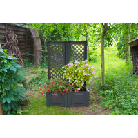 KHW KHW Pflanzkasten 43 cm mit Spalier, anthrazit - 2er Set