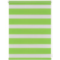 Lichtblick Duo-Rollo Klemmfix, ohne Bohren - Grün, 60 cm x 150 cm (B x L)