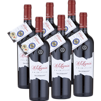 Duca di Saragnano Alchymia Primitivo Puglia IGT 2024 98 LMP - 6er Karton