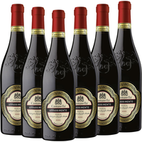 CAMASELLA Appassimento Rosso Puglia IGT - 6er Karton