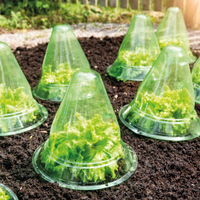 POWERTEC GARDEN Pflanzhut 10er-Set