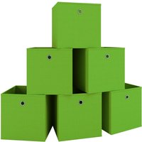 VCM 6er-Set Faltbox Klappbox "Boxas" - ohne Deckel Rot