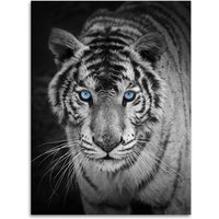 Kinzler Flanell Wohndecke Tiger