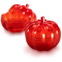 Tevigo Gardigo Fruchtfliegen-Falle Mini 2er-Set