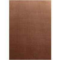 Ayyildiz Teppich, SKY 5400, BROWN, 240 x 340 cm