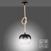 Paul Neuhaus Pendelleuchte LUMA, 1x E27/40Watt max., 1x LED-Board/12,50Watt, Schwarz