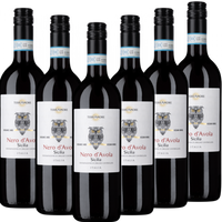 TerrAmore Bio-Nero d Avola Sicilia DOC TerrAmore Italien trocken - 6er Karton