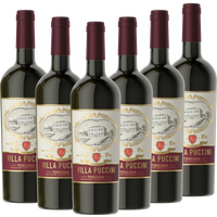 Villa Puccini Toscana Rosso IGT Villa Puccini Italien trocken - 6er Karton