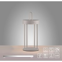 JUST LIGHT Akku Tischleuchte ANSELM, 1x LED-Board/1,50Watt/2700Kelvin, IP44, Greige