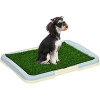 PawHut Welpentoilette Hundetoilette Welpenklo Kunstgras Hunde WC Blau 63x48,5cm