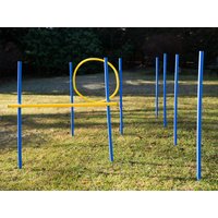 Lemodo Lemodo Hundetrainingsset, 12 Stk. Slalom-Stangen, Hürde und Jump-Ring