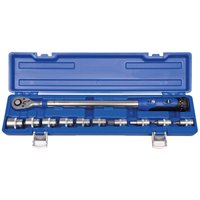 Projahn ProJahn Drehmomentschlüssel 1/2" - 11tlg. 40 - 200 Nm