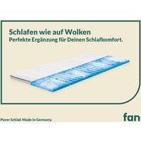 f.a.n. fan EVINA